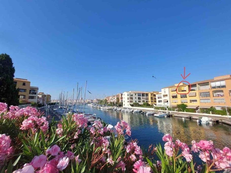 Cap'Nomad Studio Cote Port - Terrasse - Piscine - Parking Agde Eksteriør bilde